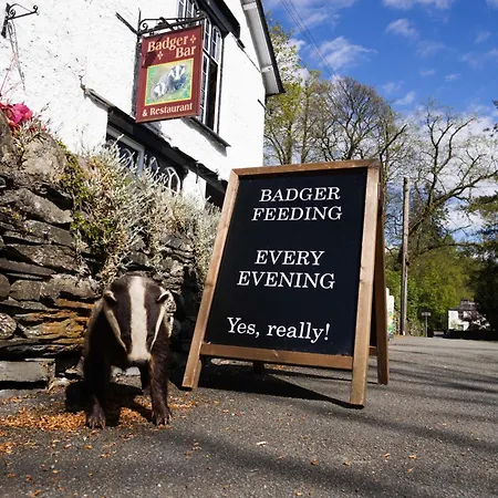 Badger Bar-3